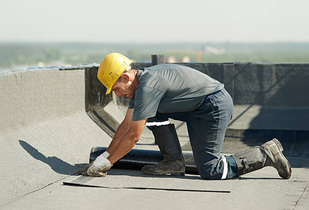 Best Insulation Removal Services  in West Bountiful, UT